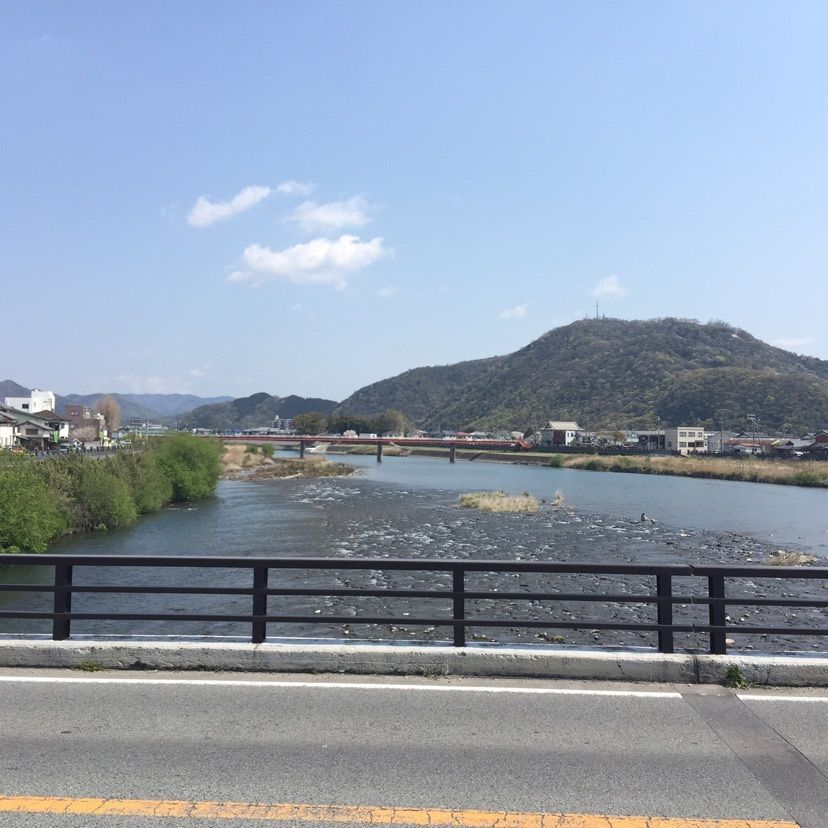 joyful_tourismさんが投稿した龍野公園の桜に関する口コミの画像