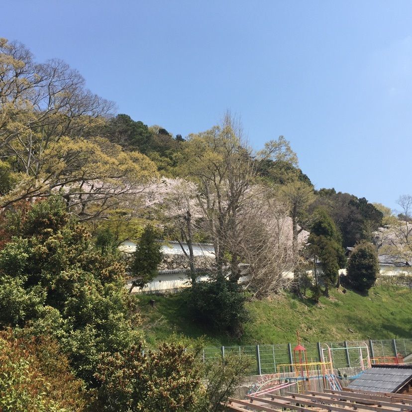joyful_tourismさんが投稿した龍野公園の桜に関する口コミの画像