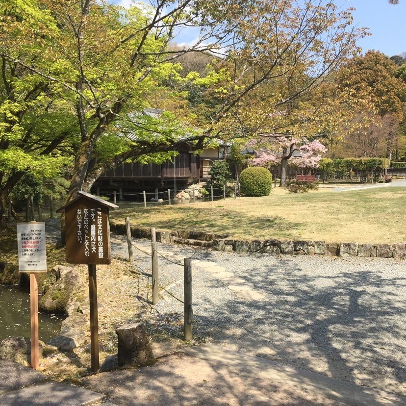 joyful_tourismさんが投稿した龍野公園の桜に関する口コミの画像