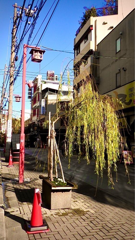 東京食べあルークさんが投稿したたこの鳴き声 浅草店に関する口コミの画像
