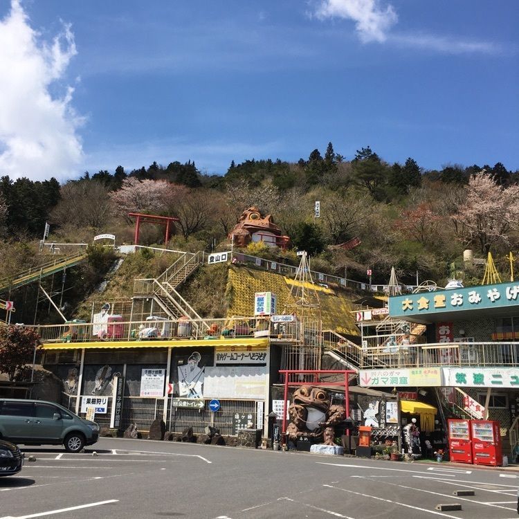 ニシさんが投稿した筑波山ドライブインに関する口コミの画像