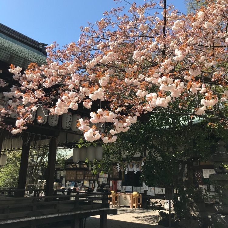 NBR OTさんが投稿した京都市上京区に関する口コミの画像