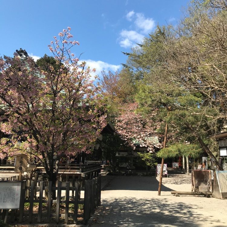 NBR OTさんが投稿した京都市上京区に関する口コミの画像