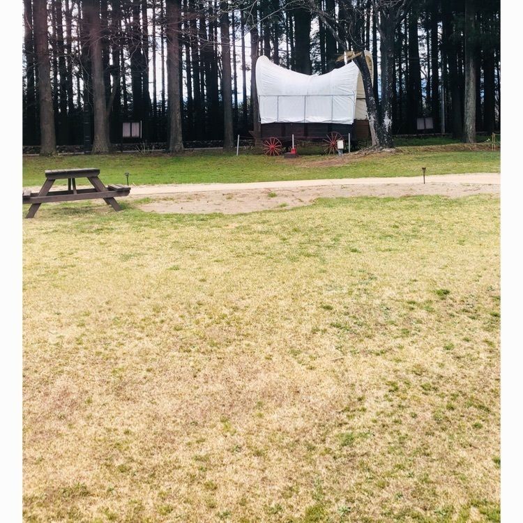サトツルさんが投稿したまきばに関する口コミの画像