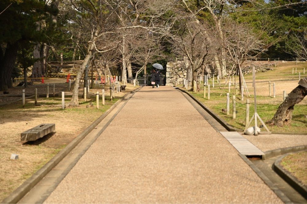 佳さんが投稿した松江城山公園の桜に関する口コミの画像