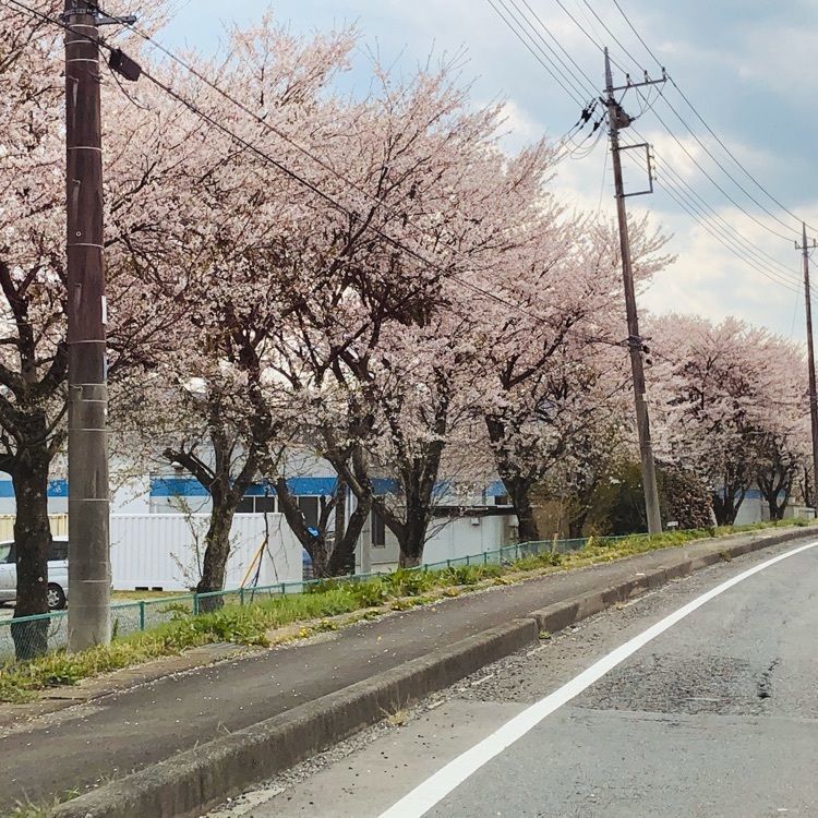 サトツルさんが投稿した日光北街道に関する口コミの画像