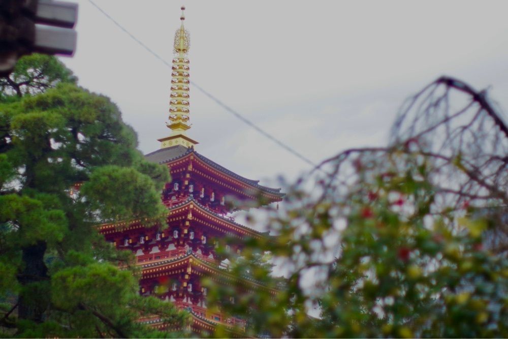 junkunさんが投稿した高幡そば 高幡不動店に関する口コミの画像