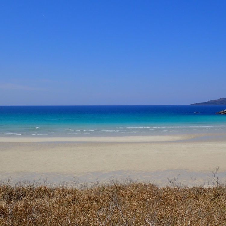 ざんぎさんが投稿した高浜海水浴場に関する口コミの画像