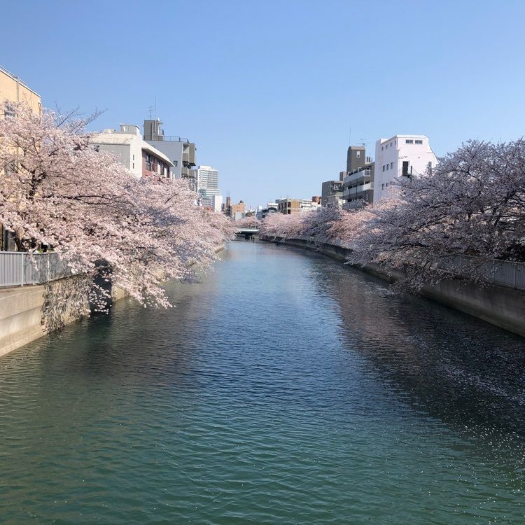 Akemiさんが投稿したホームセンター コーナン 江東深川店に関する口コミの画像