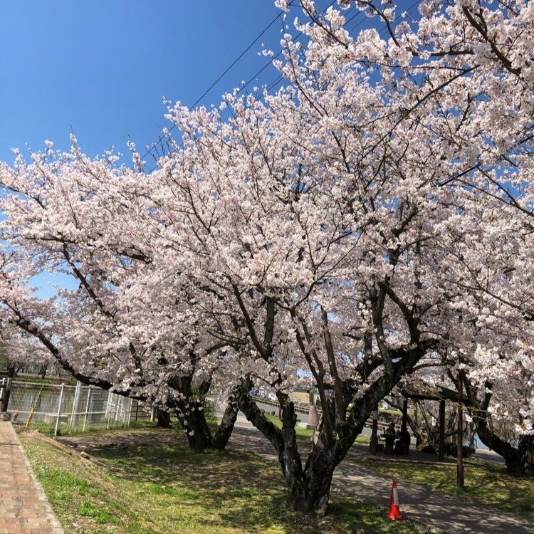 sanaebabyさんが投稿した大貞公園に関する口コミの画像
