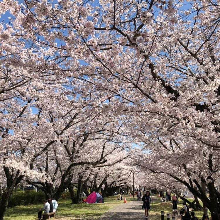 sanaebabyさんが投稿した大貞公園に関する口コミの画像