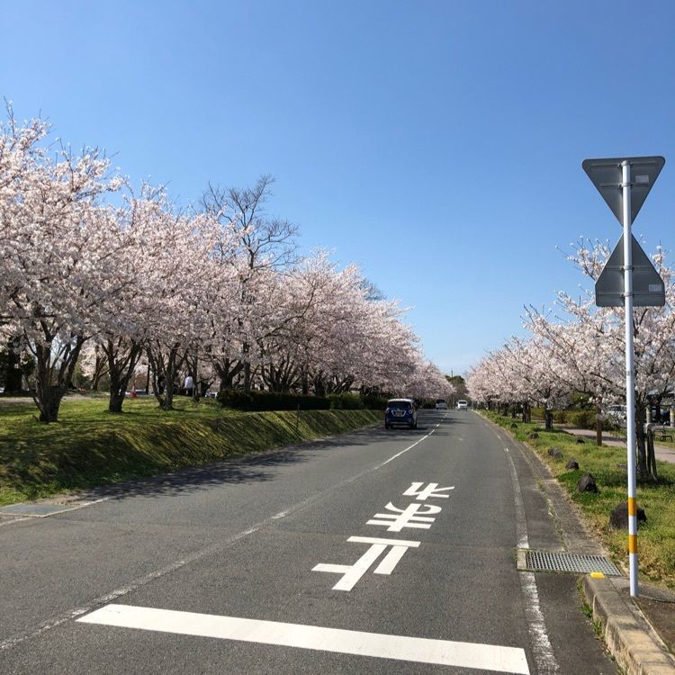 sanaebabyさんが投稿した大貞公園に関する口コミの画像