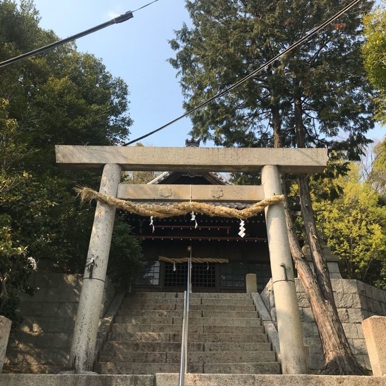 なおなおさんが投稿した金神社に関する口コミの画像