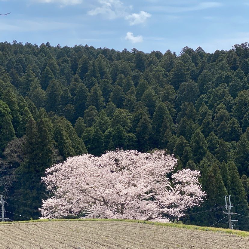 KEN AGENAさんが投稿した宇陀市役所に関する口コミの画像