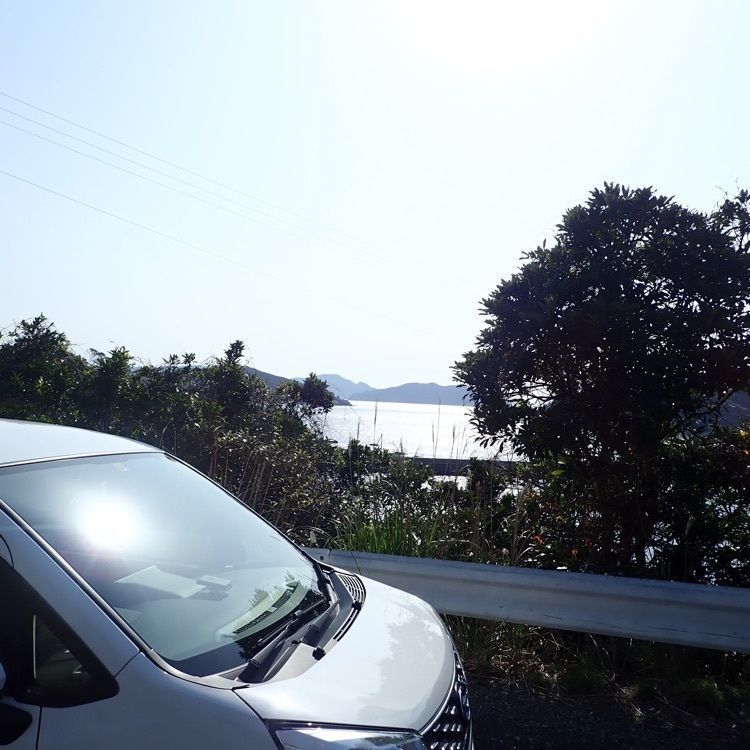 ざんぎさんが投稿した大瀬崎灯台に関する口コミの画像
