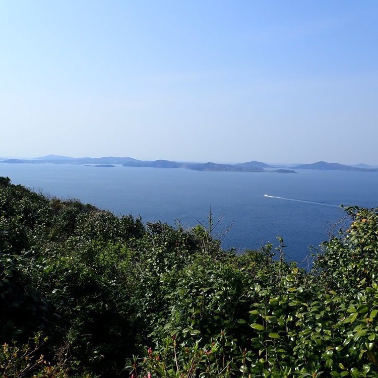 ざんぎさんが投稿した津和崎灯台に関する口コミの画像