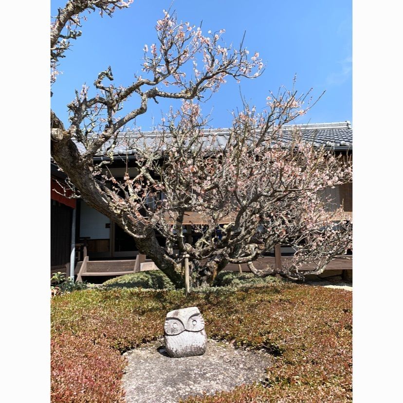 しゃんぽんさんが投稿した大黒屋茶房に関する口コミの画像