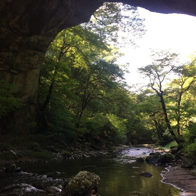 real_village_444さんが投稿した帝釈峡まほろばの里に関する口コミの画像