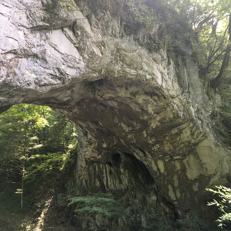 real_village_444さんが投稿した帝釈峡まほろばの里に関する口コミの画像