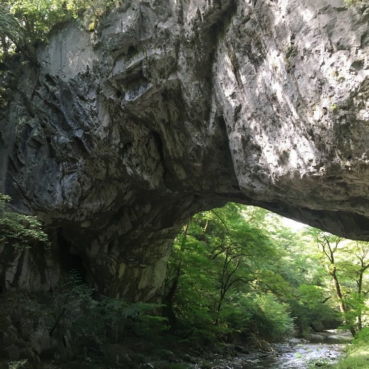 real_village_444さんが投稿した帝釈峡まほろばの里に関する口コミの画像