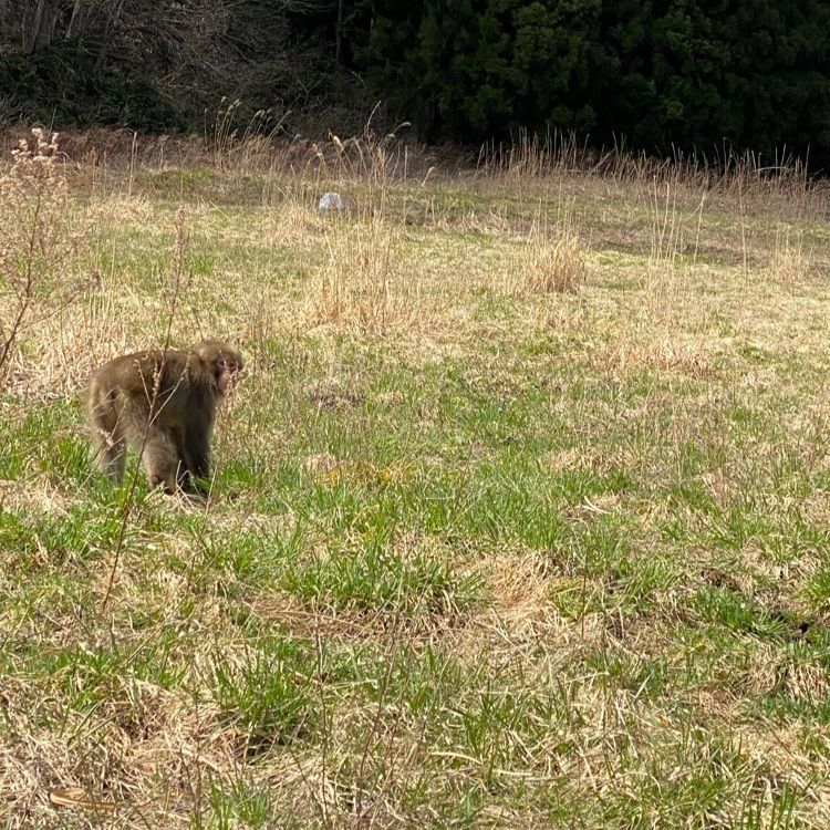 かめ_メグミさんが投稿した七ヶ宿街道に関する口コミの画像