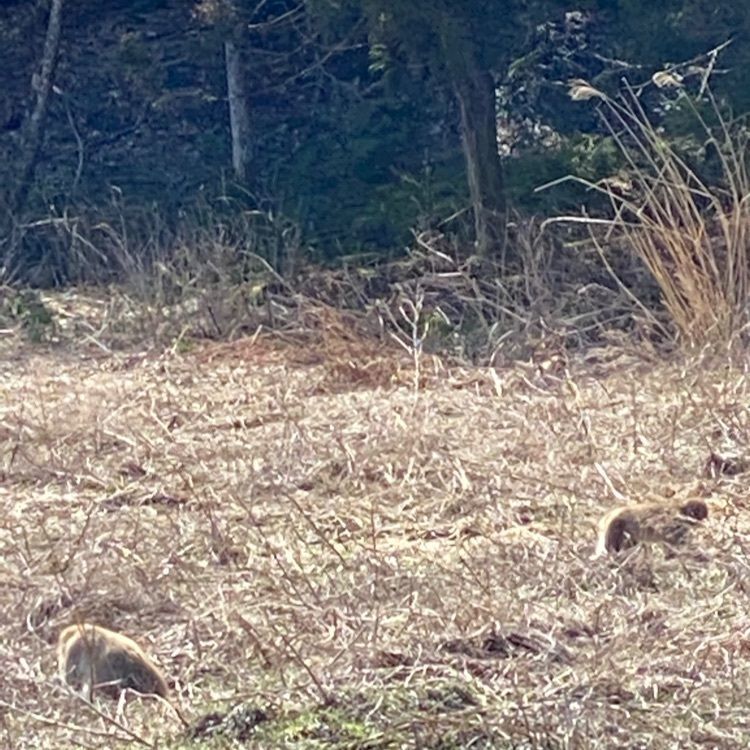 かめ_メグミさんが投稿した七ヶ宿街道に関する口コミの画像