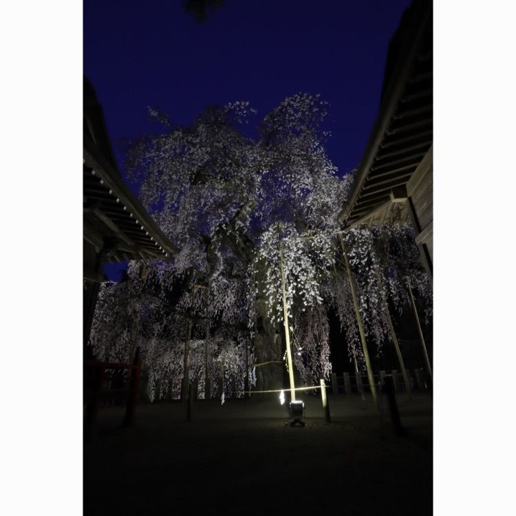 あっけさんが投稿した泉諏訪神社に関する口コミの画像