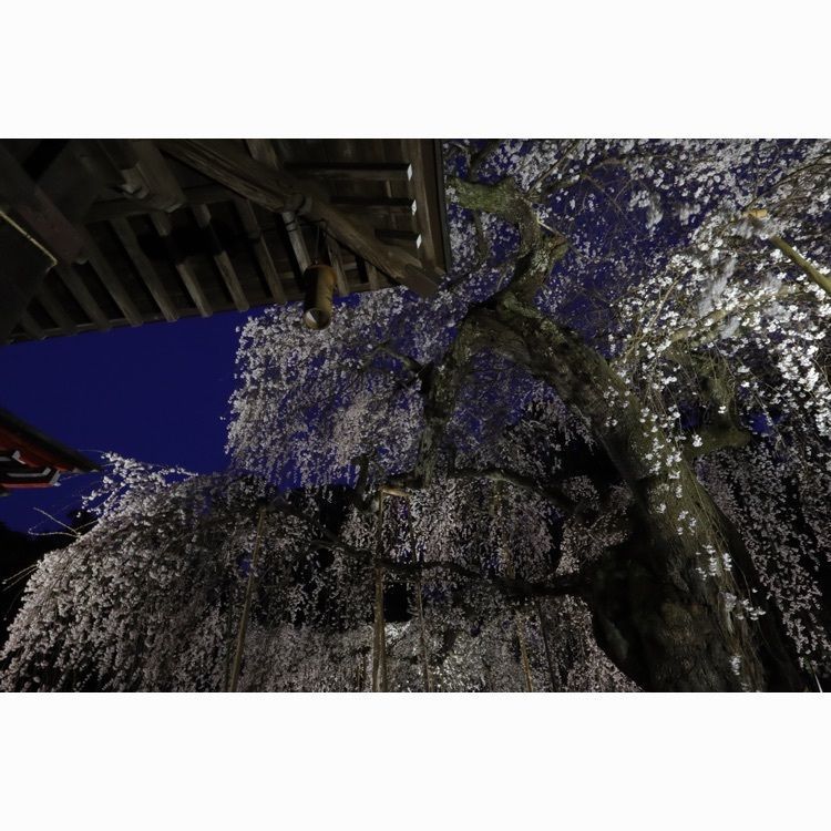 あっけさんが投稿した泉諏訪神社に関する口コミの画像