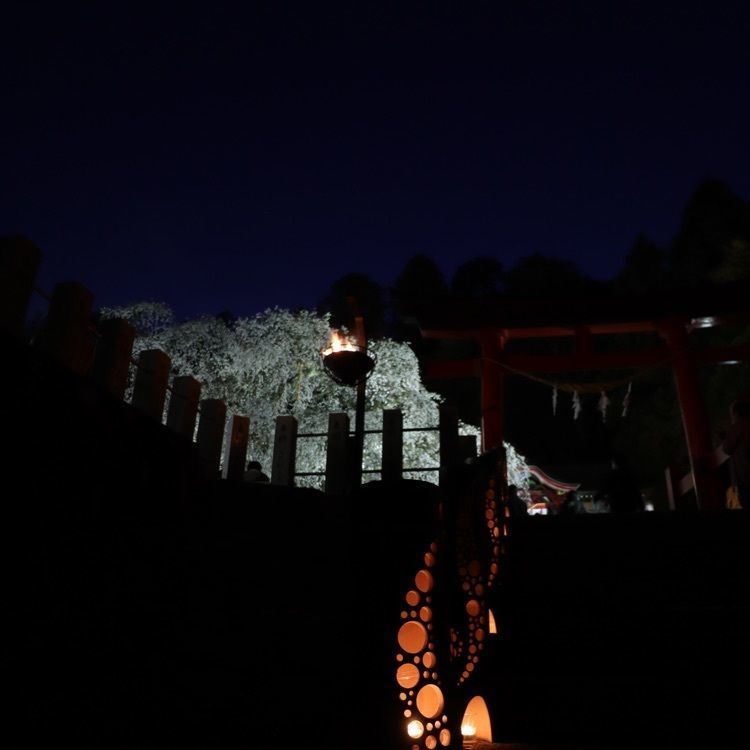 あっけさんが投稿した泉諏訪神社に関する口コミの画像