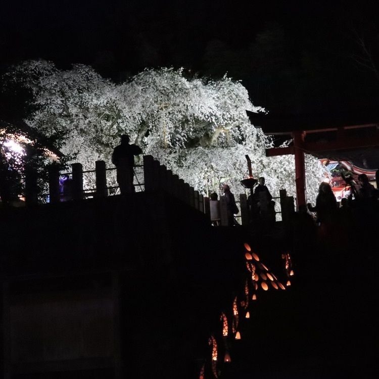 あっけさんが投稿した泉諏訪神社に関する口コミの画像