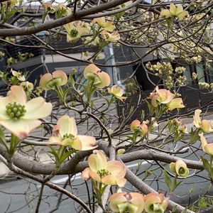 豊田池田の渡し公園 5枚目