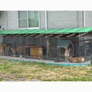 豊田池田の渡し公園 6枚目