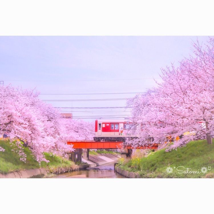 satomi24さんが投稿した大和高田市に関する口コミの画像