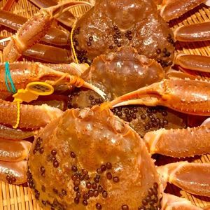 望洋樓（望洋楼 ぼうようろう） 1枚目