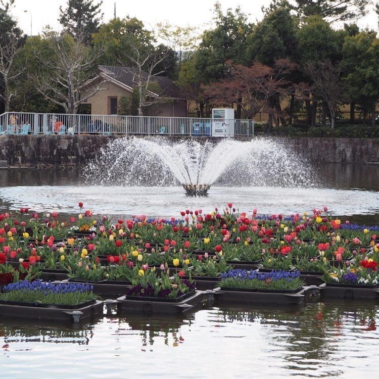 なおなおさんが投稿した国営木曽三川公園・アクアワールド水郷パークセンターに関する口コミの画像