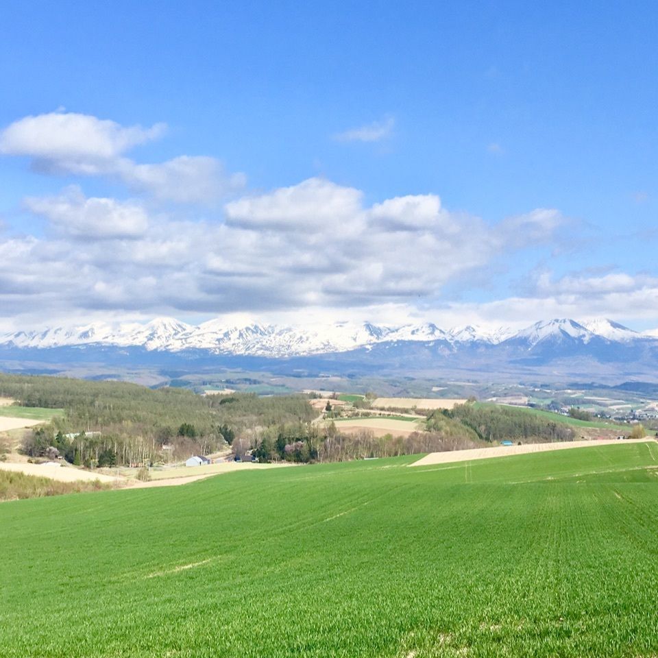 yoshiさんが投稿した上富良野町に関する口コミの画像