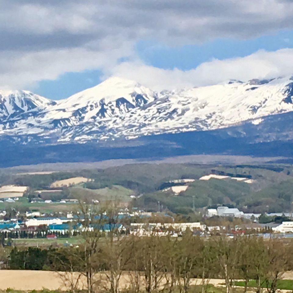 yoshiさんが投稿した上富良野町に関する口コミの画像