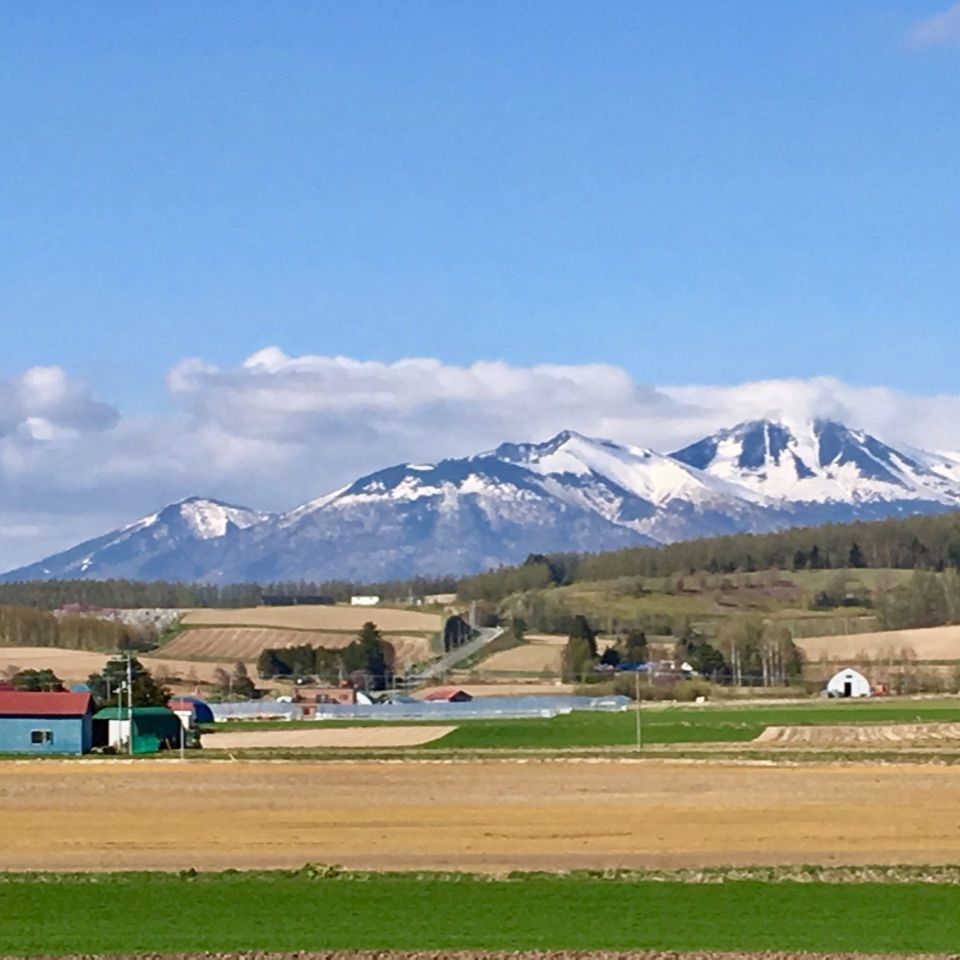 yoshiさんが投稿した上富良野町に関する口コミの画像