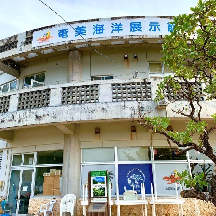 ＤＪゴン太さんが投稿した奄美海洋展示館に関する口コミの画像