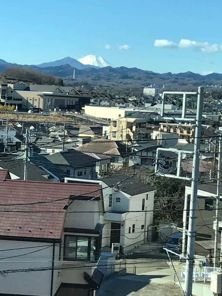 MICHIさんが投稿した自然薯とそばの店 高尾の桜に関する口コミの画像