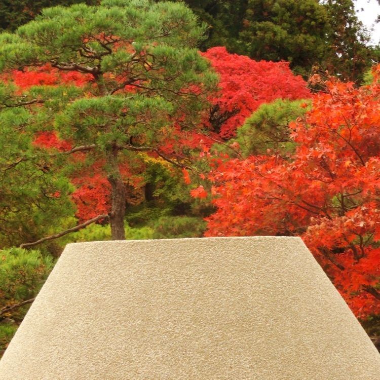 てっつーさんが投稿した銀閣寺（慈照寺）に関する口コミの画像