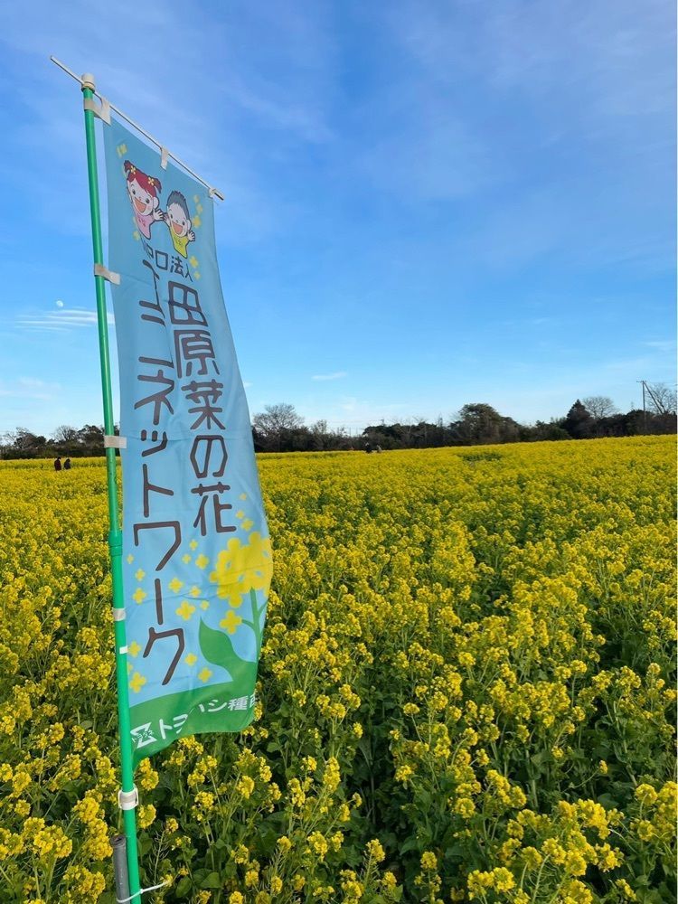 ダルマ大使さんが投稿した鈴幸に関する口コミの画像