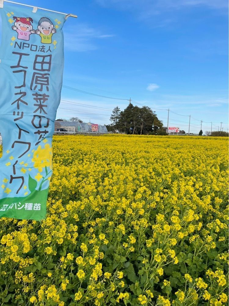 ダルマ大使さんが投稿した鈴幸に関する口コミの画像