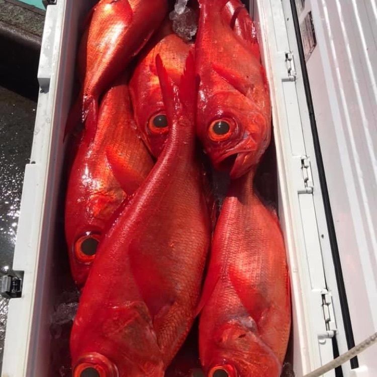 rise_upさんが投稿したペスカトリーチェ みぃ丸亭（Pescatrice みぃ丸亭）に関する口コミの画像