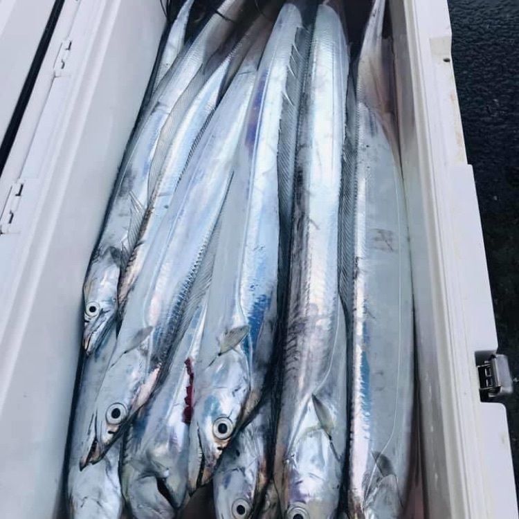 rise_upさんが投稿したペスカトリーチェ みぃ丸亭（Pescatrice みぃ丸亭）に関する口コミの画像