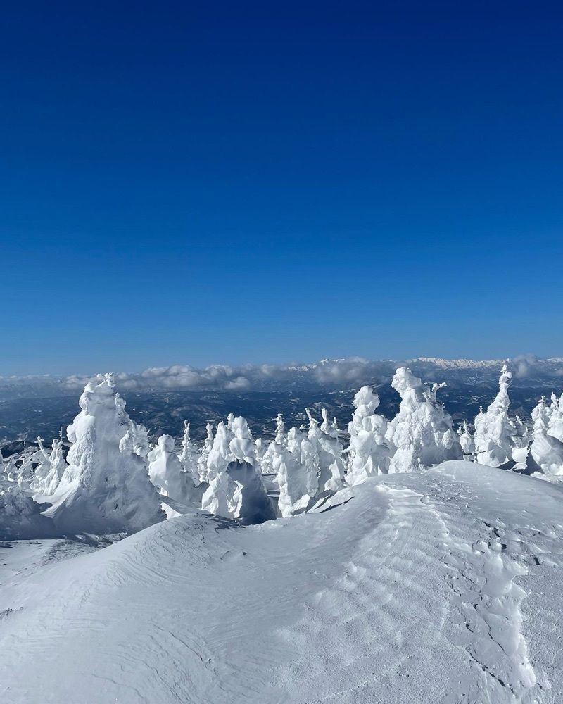 みゆきさんが投稿した蔵王の樹氷に関する口コミの画像