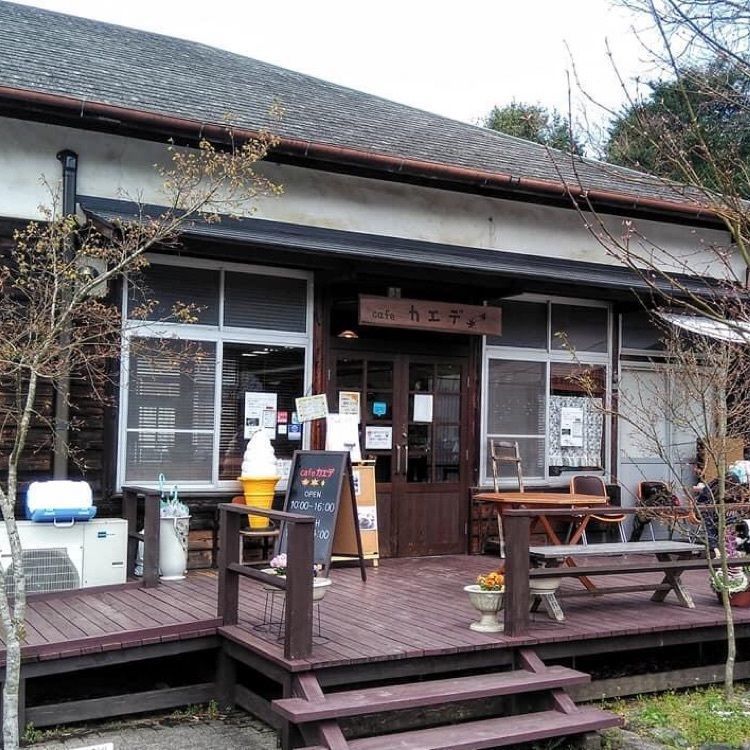 ＤＪゴン太さんが投稿したcafeカエデ（カフェ）に関する口コミの画像