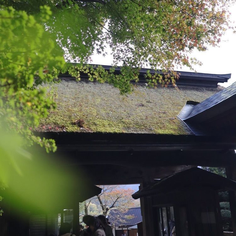 あっけさんが投稿した山寺の紅葉に関する口コミの画像