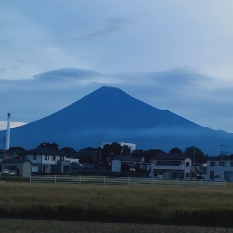 ＤＪゴン太さんが投稿した田子の浦漁港に関する口コミの画像