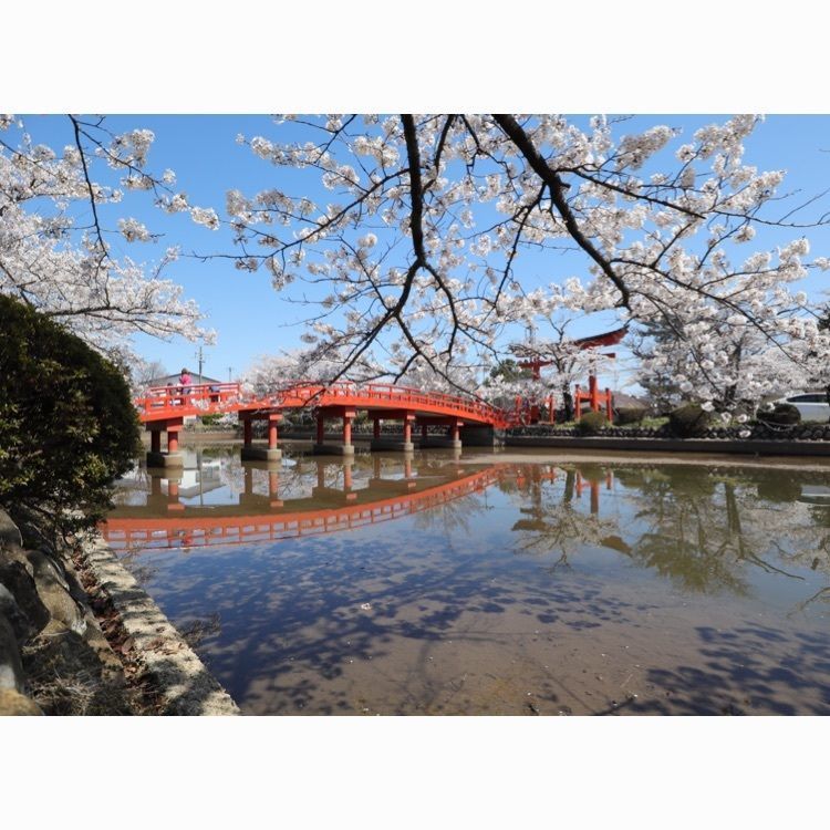 あっけさんが投稿した涼ヶ岡八幡宮に関する口コミの画像